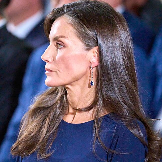 La reina Letizia viste de marrón brillante.